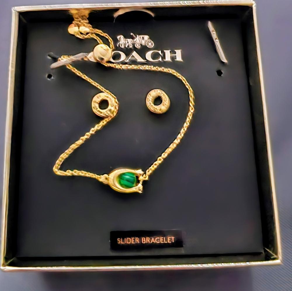 Coach braclet and earrings NIB